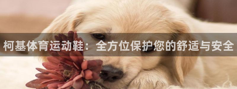 柯基体育运动鞋：全方位保护您的舒适与安全