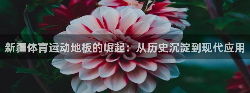 新疆体育运动地板的崛起：从历史沉淀到现代应用