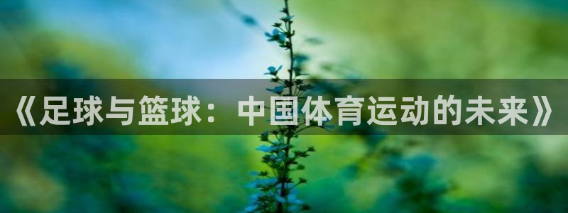 《足球与篮球：中国体育运动的未来》