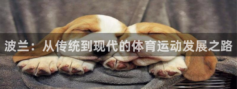 波兰：从传统到现代的体育运动发展之路