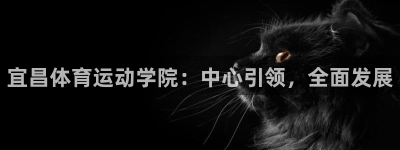 宜昌体育运动学院：中心引领，全面发展