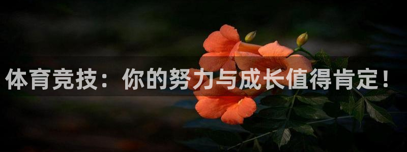 体育竞技：你的努力与成长值得肯定！