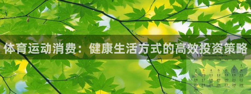 体育运动消费：健康生活方式的高效投资策略