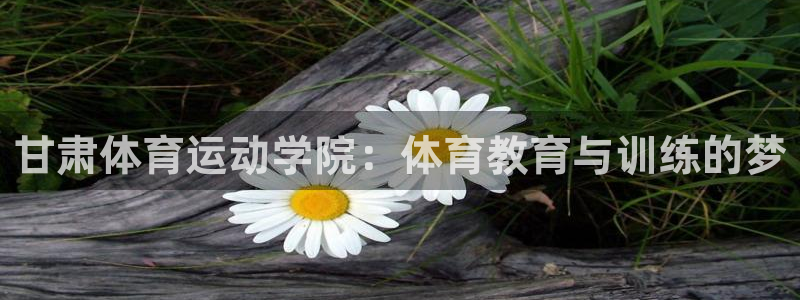 甘肃体育运动学院：体育教育与训练的梦