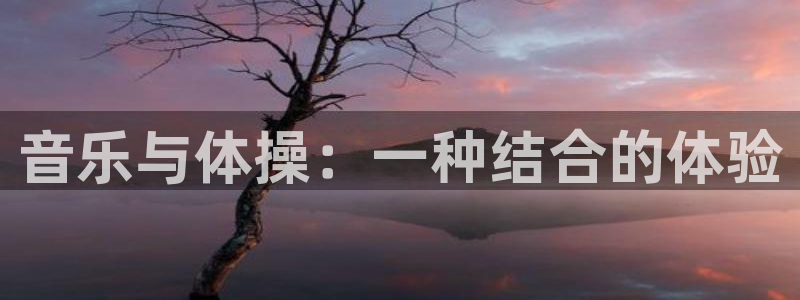 音乐与体操：一种结合的体验