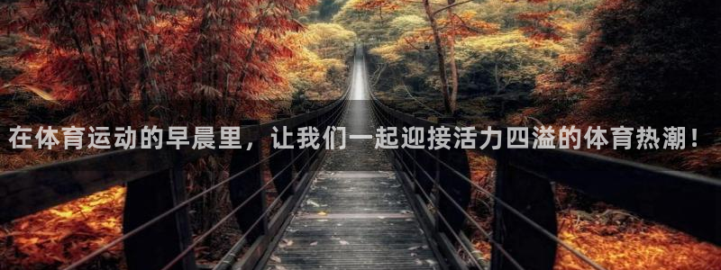 在体育运动的早晨里，让我们一起迎接活力四溢的体育热潮！