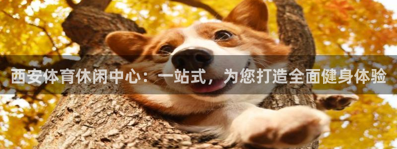 西安体育休闲中心：一站式，为您打造全面健身体验