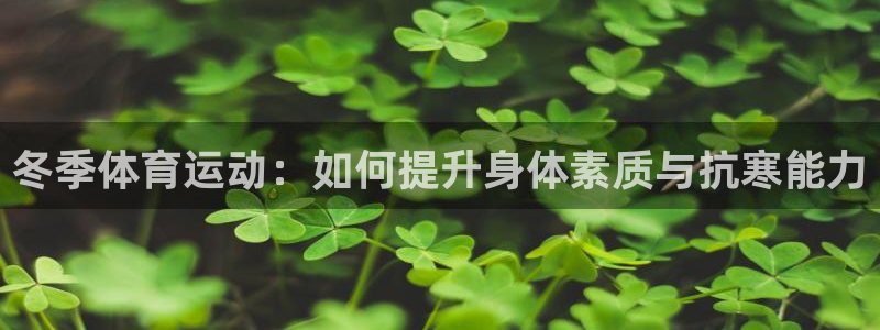 冬季体育运动：如何提升身体素质与抗寒能力