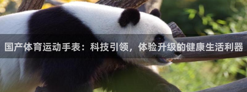 国产体育运动手表：科技引领，体验升级的健康生活利器