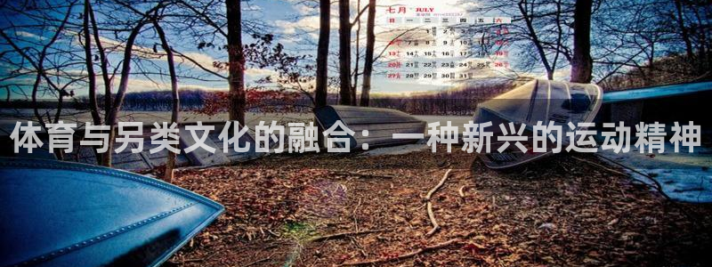 体育与另类文化的融合：一种新兴的运动精神
