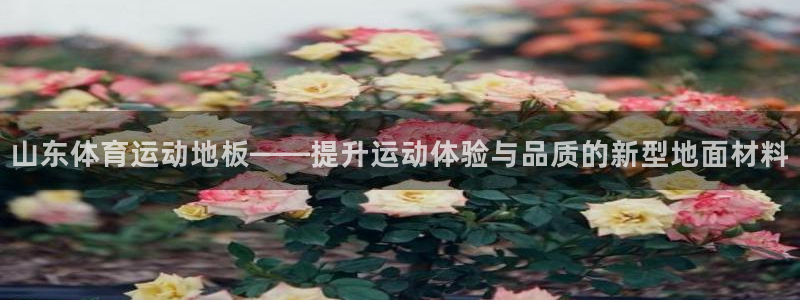 山东体育运动地板——提升运动体验与品质的新型地面材料