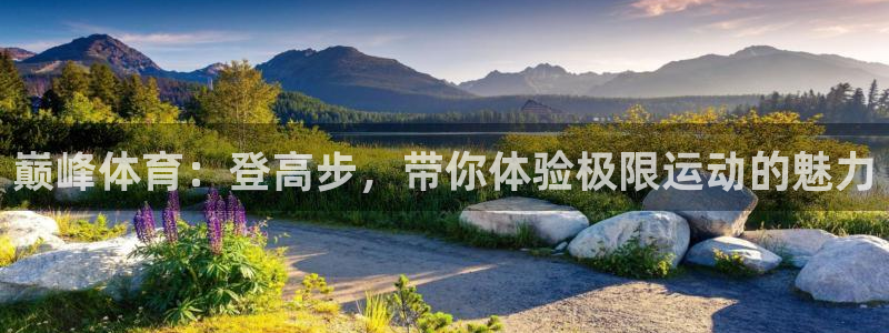 巅峰体育：登高步，带你体验极限运动的魅力